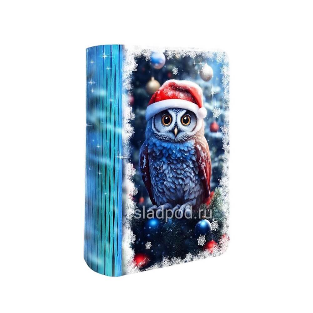 Книга Мудрая Сова
